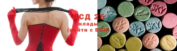 PSILOCYBIN Алексеевка