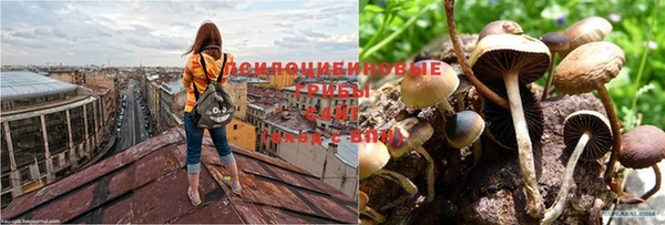 кокаин VHQ Алзамай