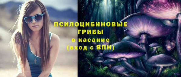 PSILOCYBIN Алексеевка